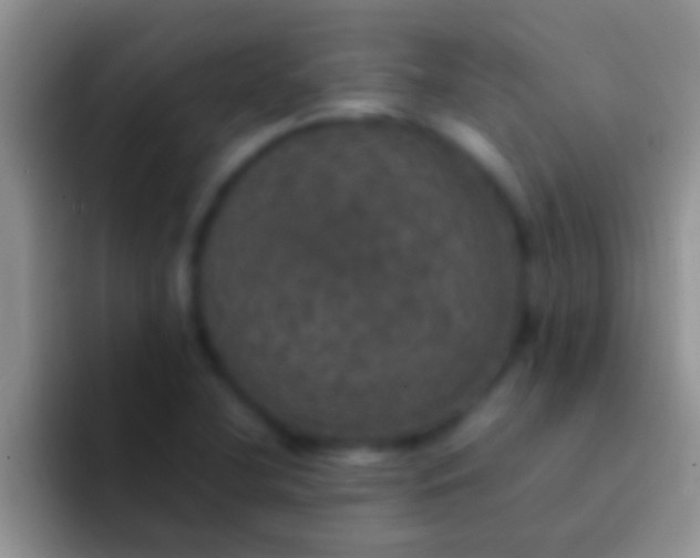 X0000092091412200709262114