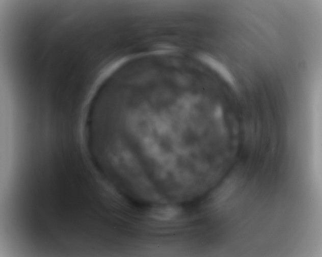 X0000092091415200709262114