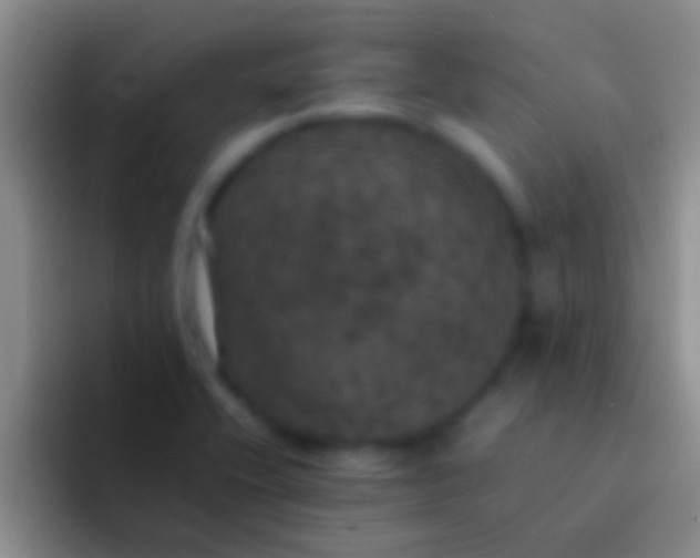 X0000092091416200709262115