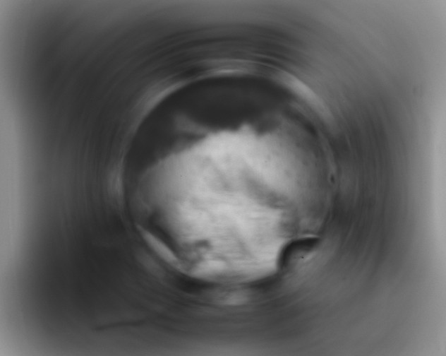X0000092091417200709262115