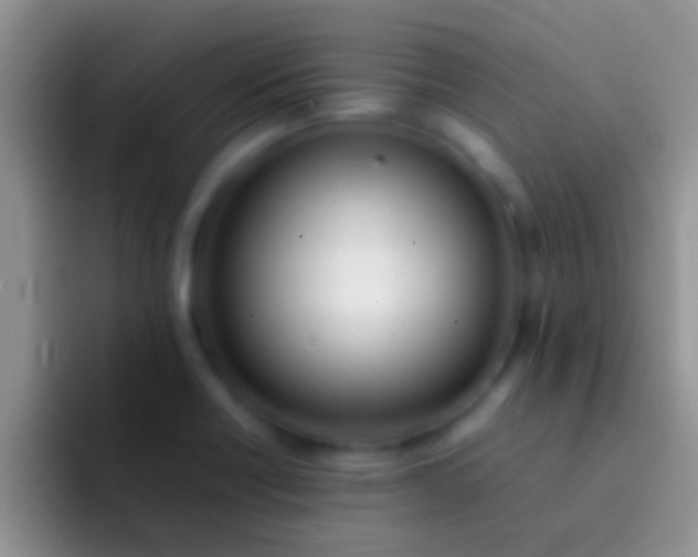 X0000092091418200709262115