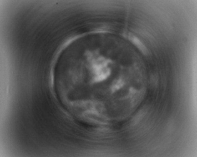 X0000092091419200709262115