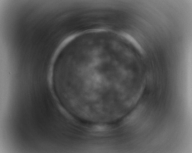 X0000092091421200709262115