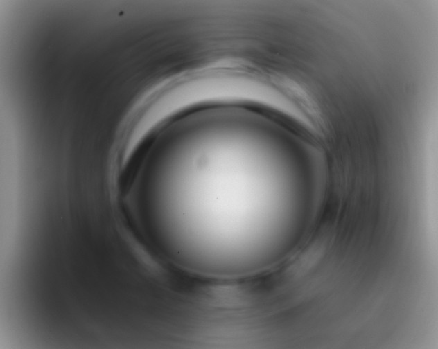 X0000092091422200709262115