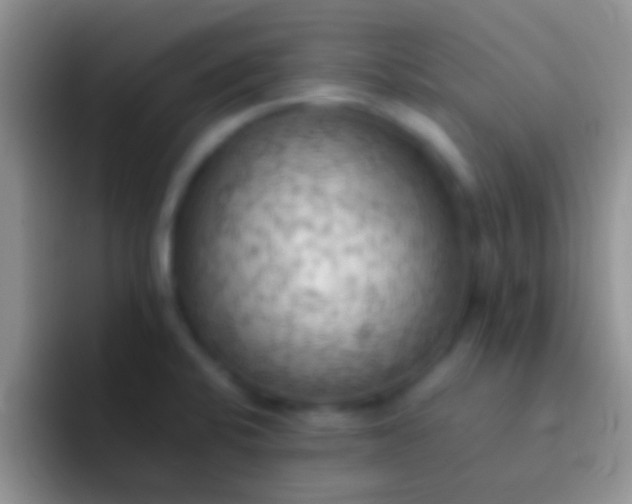 X0000092091424200709262115
