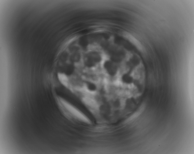 X0000092091425200709262115