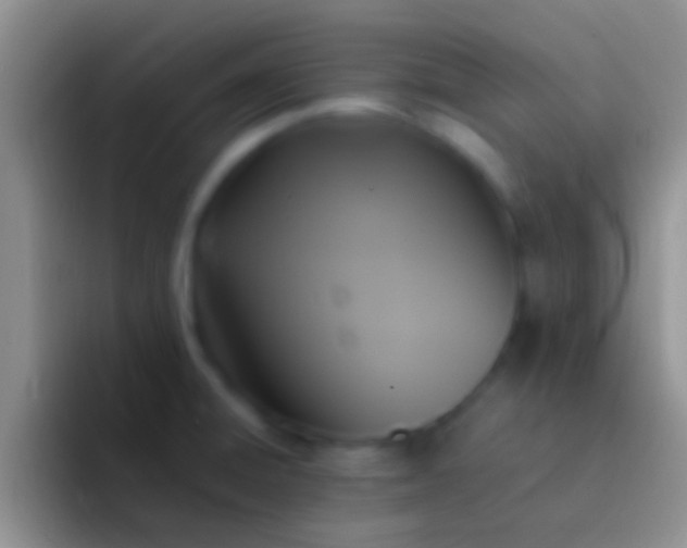 X0000092091428200709262115