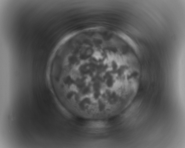 X0000092091429200709262115
