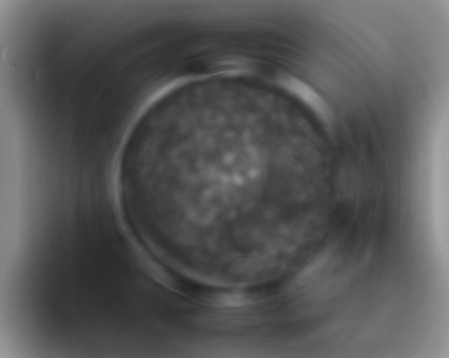 X0000092091431200709262115
