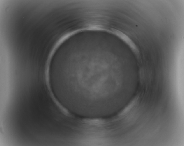 X0000092091432200709262115