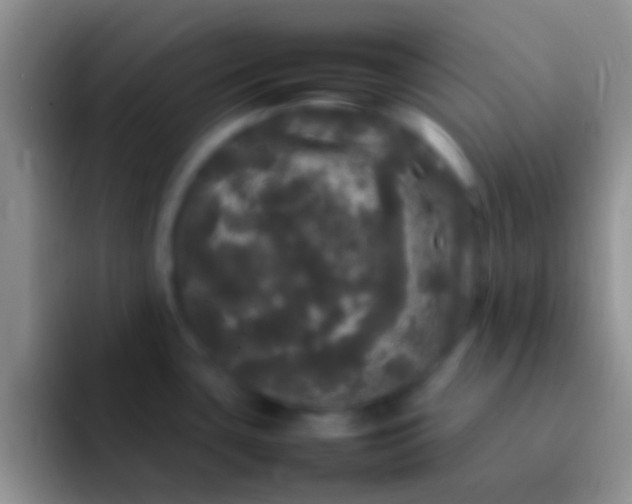 X0000092091435200709262115