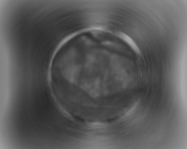 X0000092091436200709262115