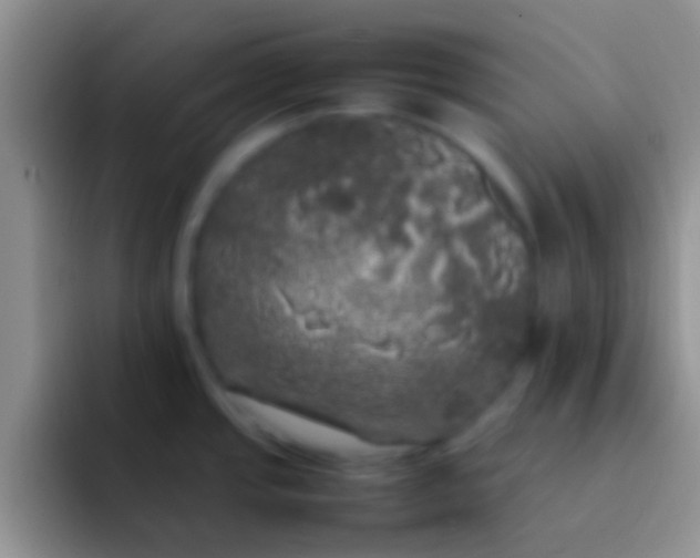 X0000092091437200709262115