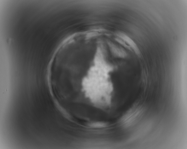 X0000092091439200709262115