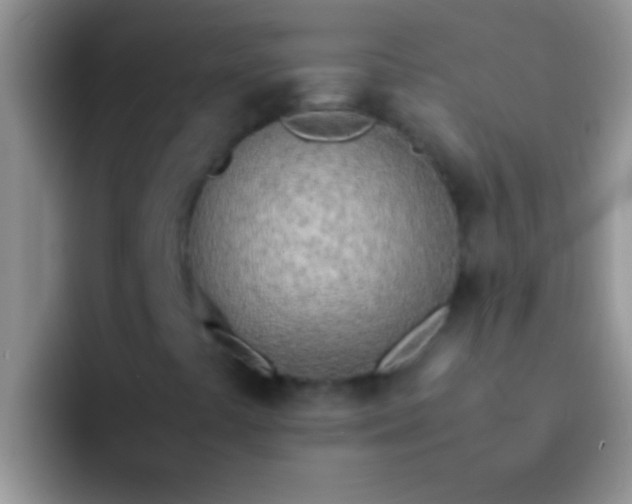 X0000092091441200709262114