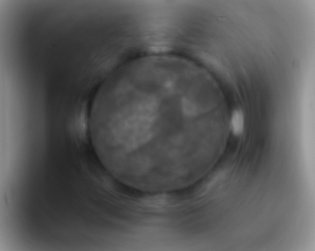 X0000092091444200709262114