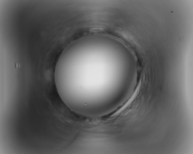 X0000092091445200709262114