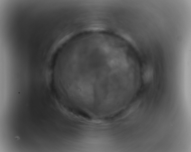 X0000092091448200709262114