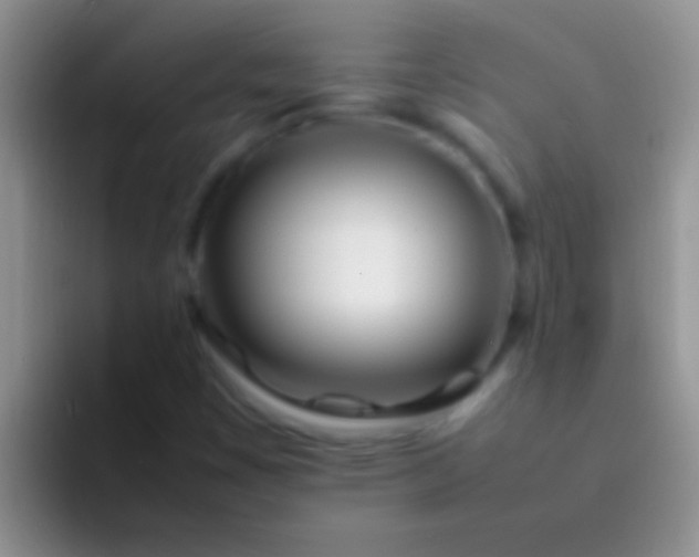 X0000092091449200709262114