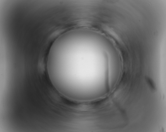 X0000092091451200709262114