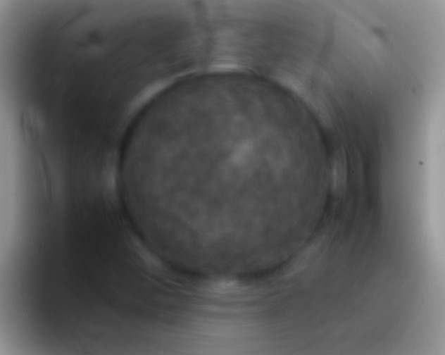 X0000092091452200709262114
