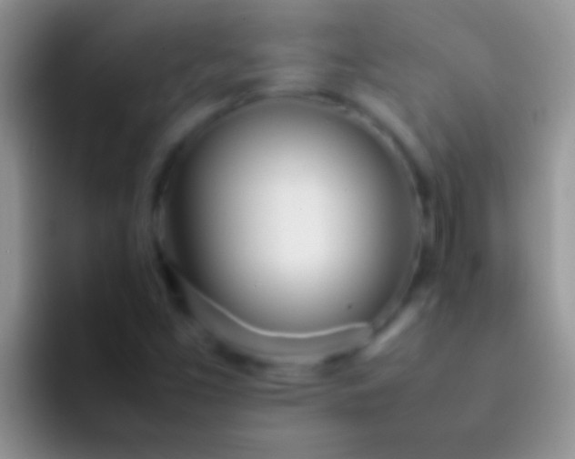 X0000092091453200709262114