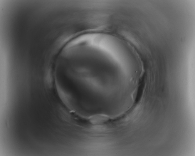 X0000092091455200709262114