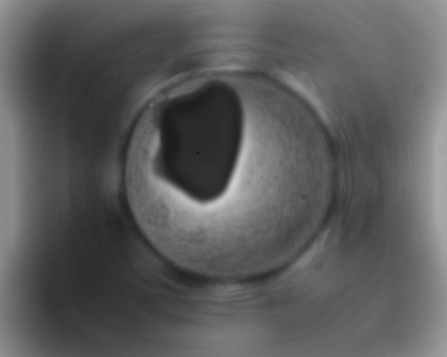 X0000092091459200709262114