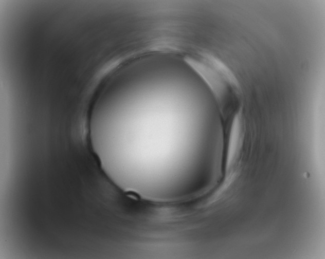 X0000092091461200709262114