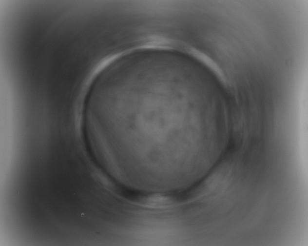 X0000092091463200709262114