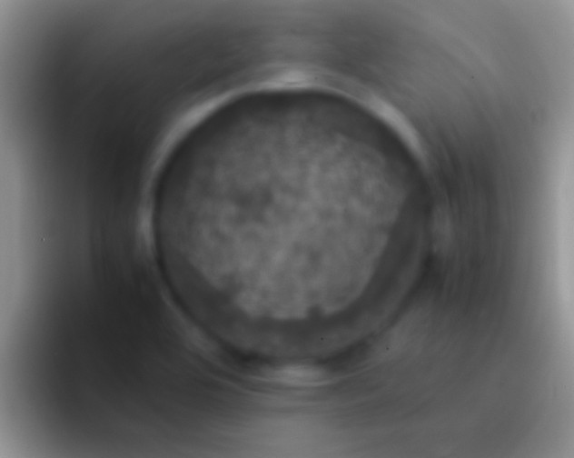 X0000092091464200709262114