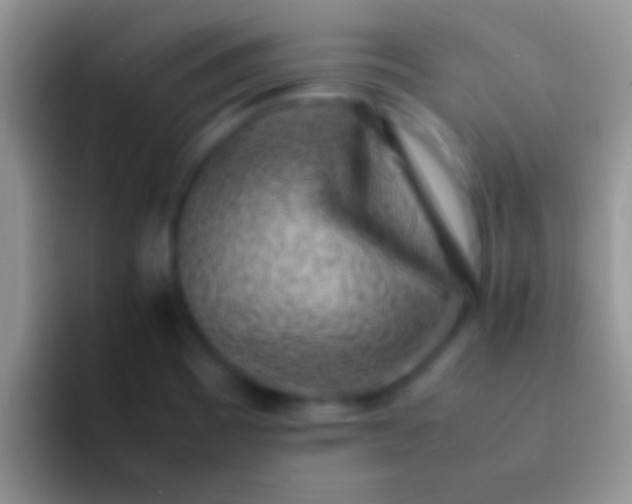 X0000092091465200709262114