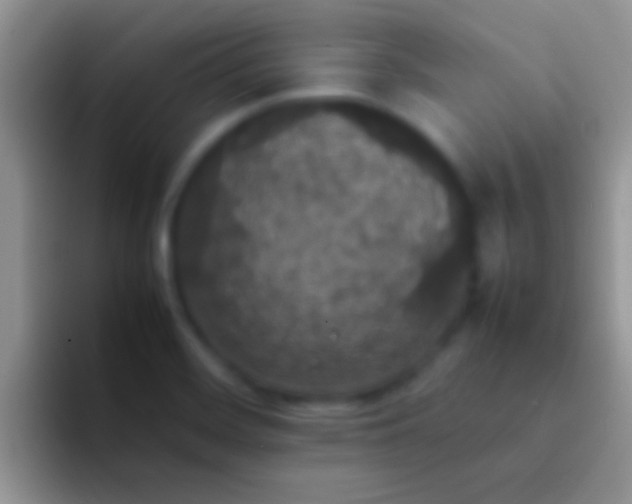 X0000092091468200709262114
