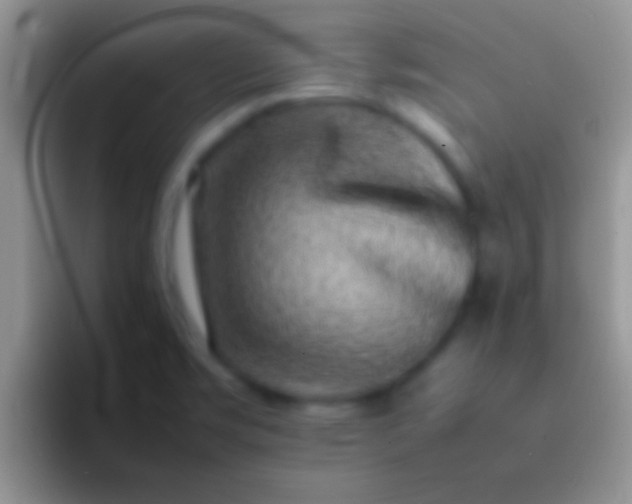 X0000092091469200709262114