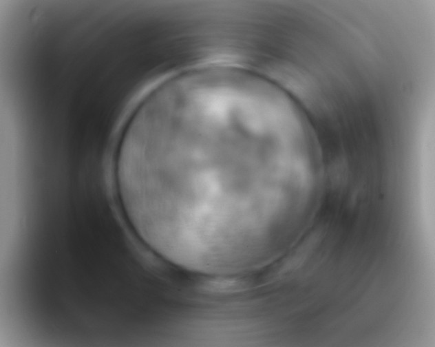 X0000092091470200709262114