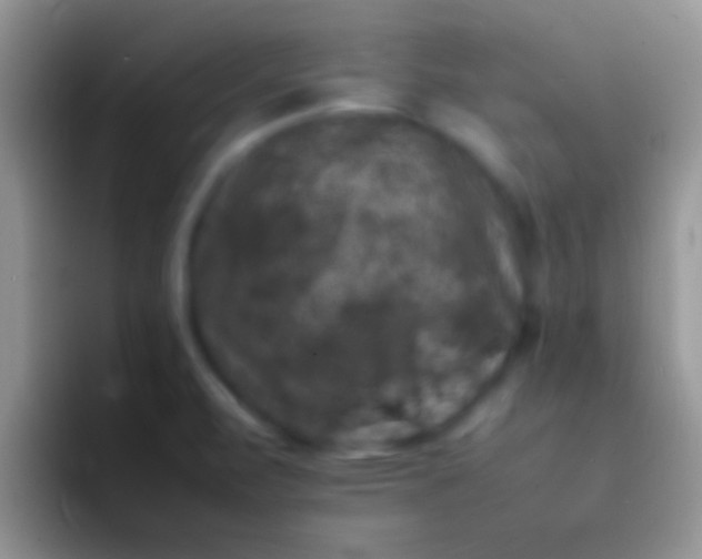 X0000092091471200709262114