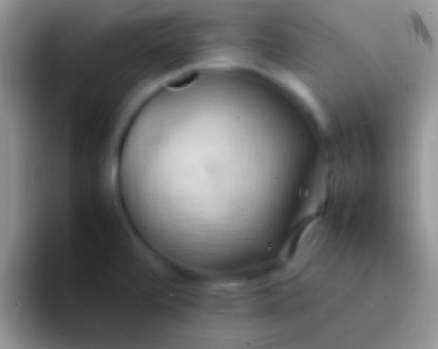 X0000092091472200709262114