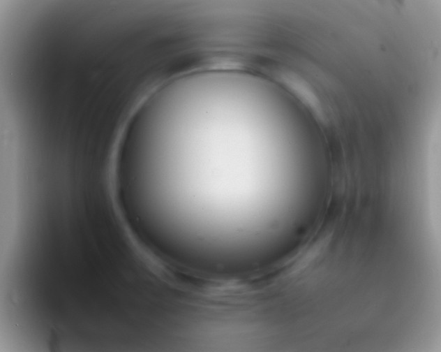 X0000092091475200709262114
