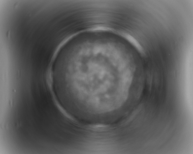X0000092091476200709262114