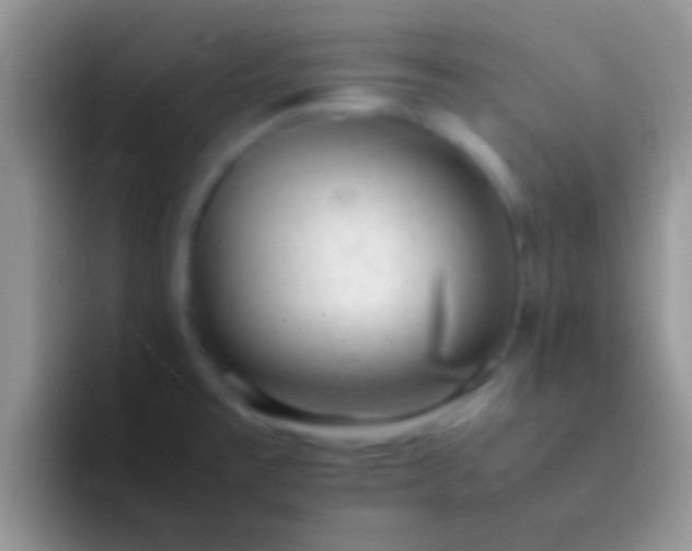 X0000092091477200709262114