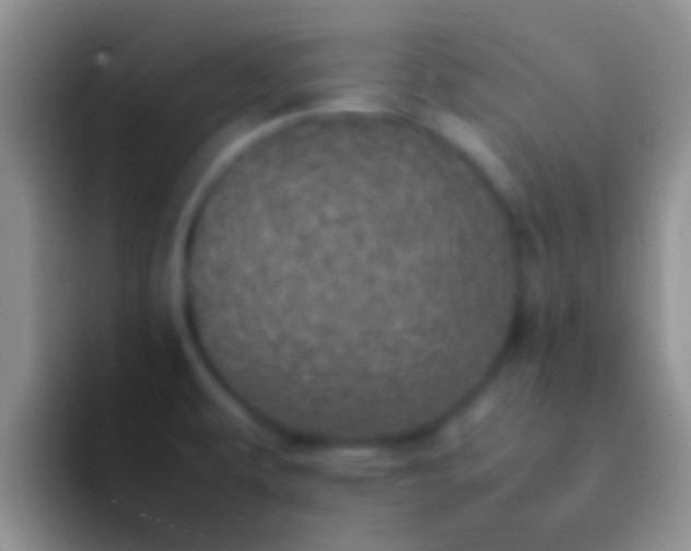 X0000092091479200709262114