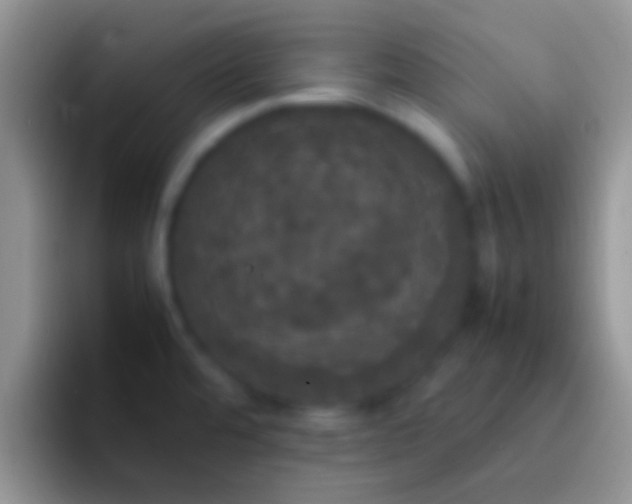 X0000092091480200709262114