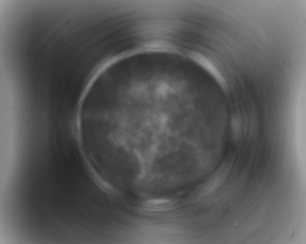 X0000092091482200709262114