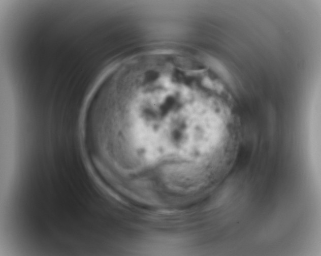 X0000092091483200709262114