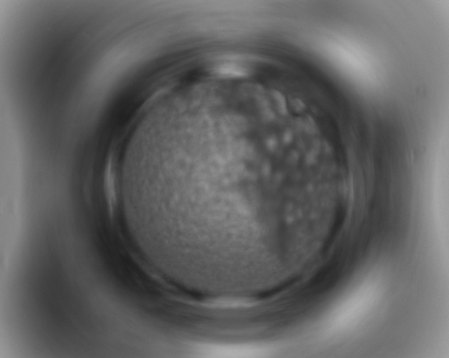 X0000092091487200709262114