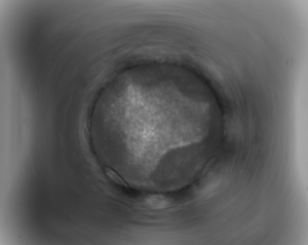 X0000092091489200709262113
