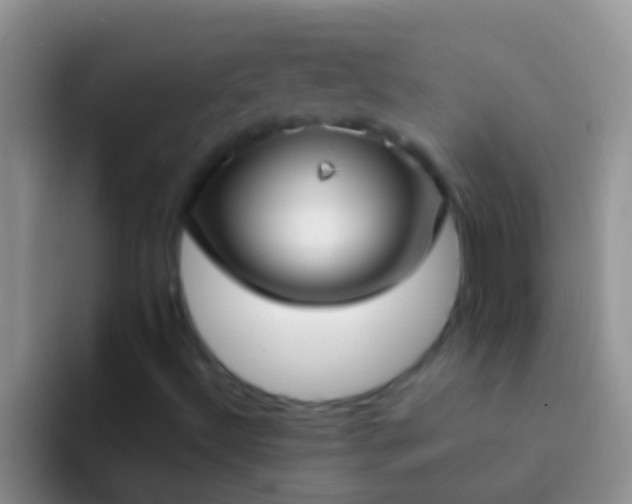 X0000092091492200709262113
