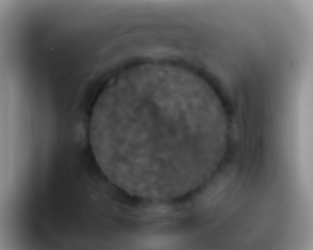 X0000092091493200709262113