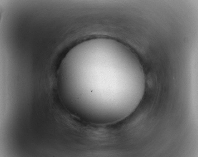 X0000092091495200709262113