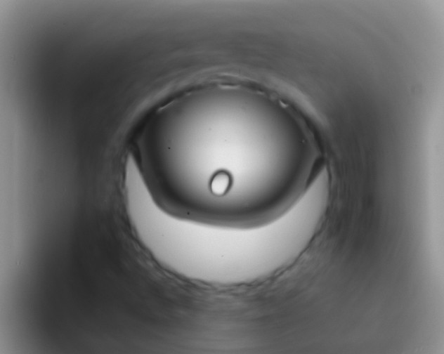 X0000092091496200709262113